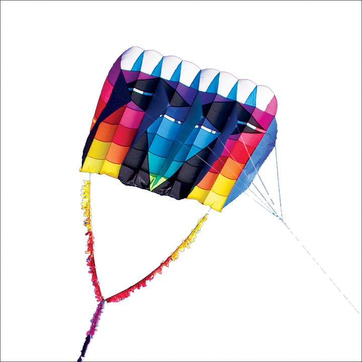 Kite Clipart (720x720), Png Download