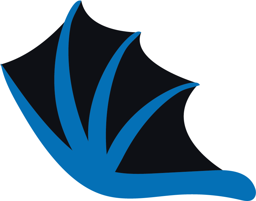 Replaces Pelican Wing2 Clipart (864x1231), Png Download