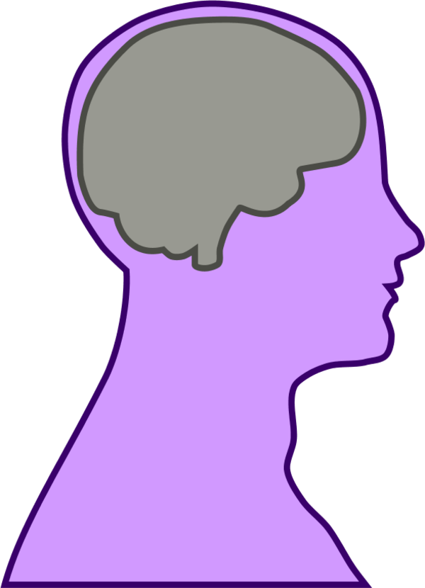 Brain Human Man - Line Art Brain Outline Clipart (600x830), Png Download