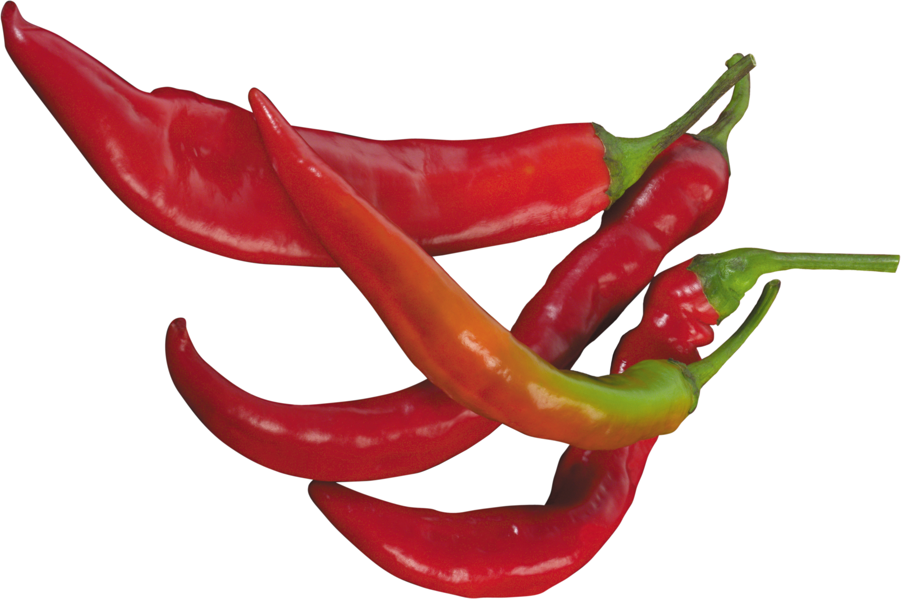 Serrano Pepper Cliparts - Chili Pepper - Png Download (3141x2087), Png Download