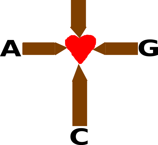 Clip Art - Png Download (600x551), Png Download