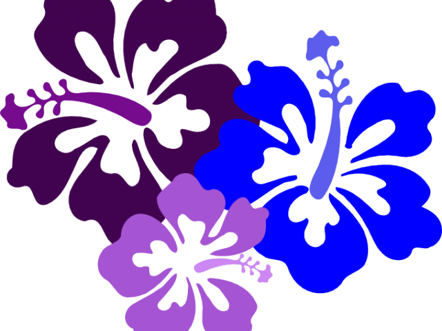 Hibiscus Clipart File - Hibiscus Art Clip Png Transparent Png (640x480), Png Download