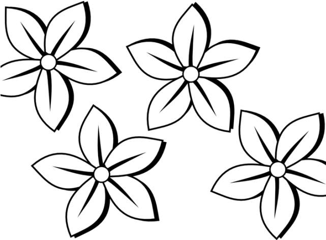 Black And White Flowers Clip Art - Png Download (640x480), Png Download