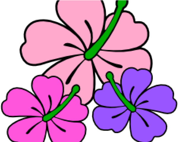 Hibiscus Clipart Themed - Clip Art - Png Download (640x480), Png Download