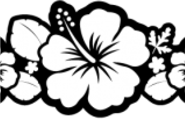 Hibiscus Clipart Black And White - Arc Flower Black And White - Png Download (640x480), Png Download