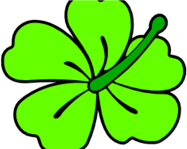 Hibiscus Clipart Green - Clip Art - Png Download (640x480), Png Download