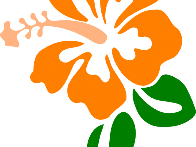 Hibiscus Clipart Jaba - Clip Art Hibiscus - Png Download (640x480), Png Download