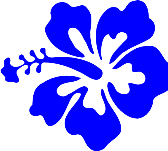 Hibiscus Clipart Hybiscus - Hibiscus Clip Art - Png Download (640x480), Png Download