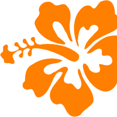 Hibiscus Clipart Orange Hibiscus - Hibiscus Clip Art - Png Download (640x480), Png Download