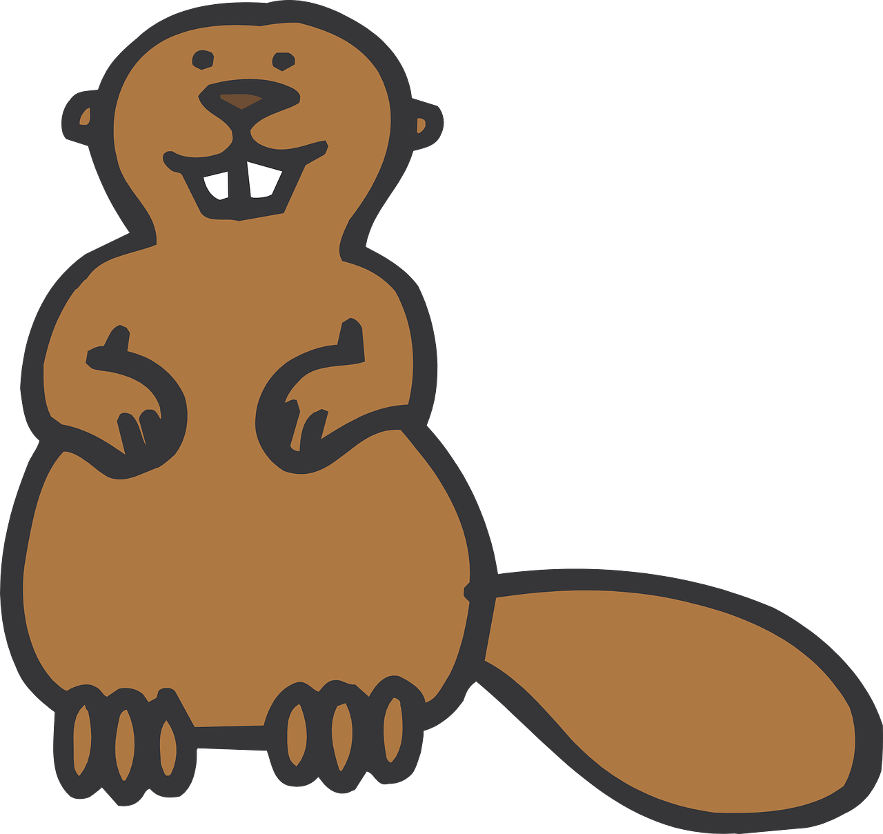 Cartoon Beaver Clipart (600x567), Png Download