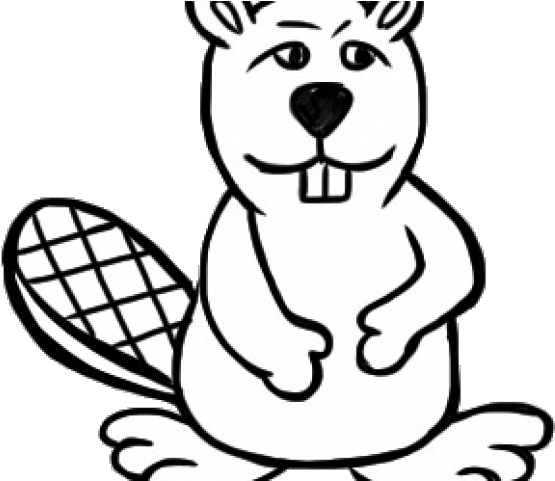 Beaver Clipart Line Art - Clip Art - Png Download (640x480), Png Download