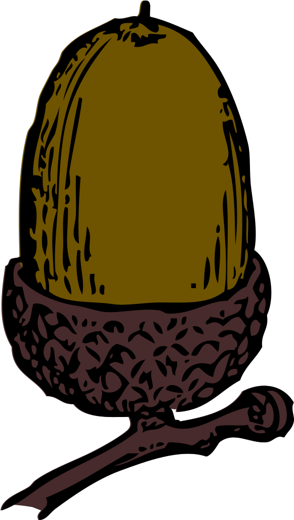 Acorn Clip Art - Png Download (600x1056), Png Download