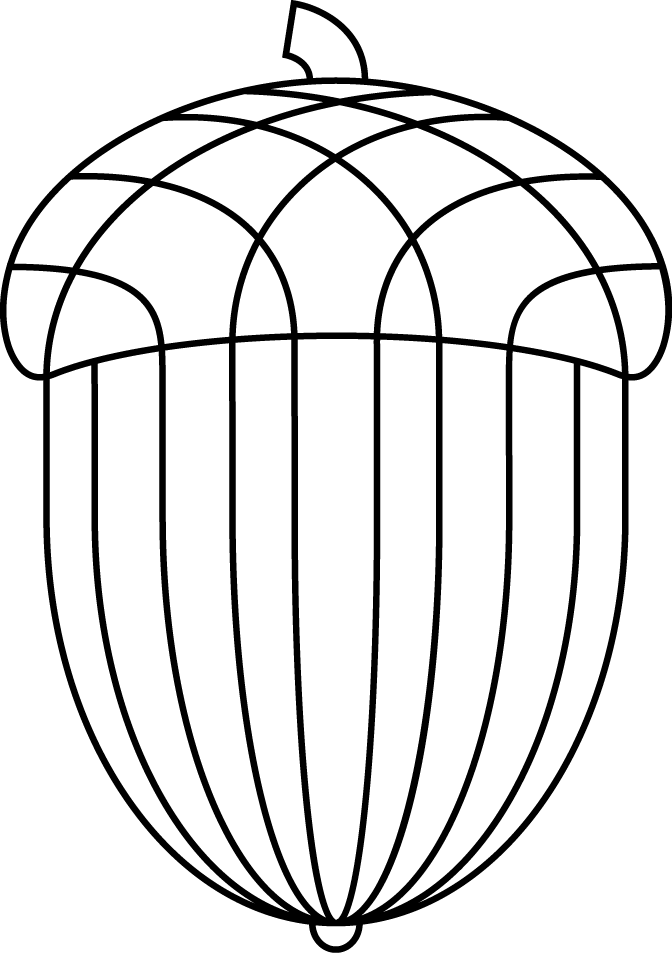 Acorn Drawing Clipart (672x953), Png Download