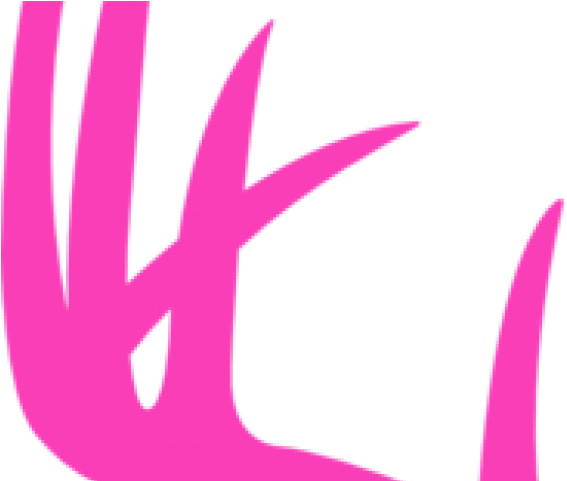 Antler Clipart Deer Logo - Png Download (640x480), Png Download