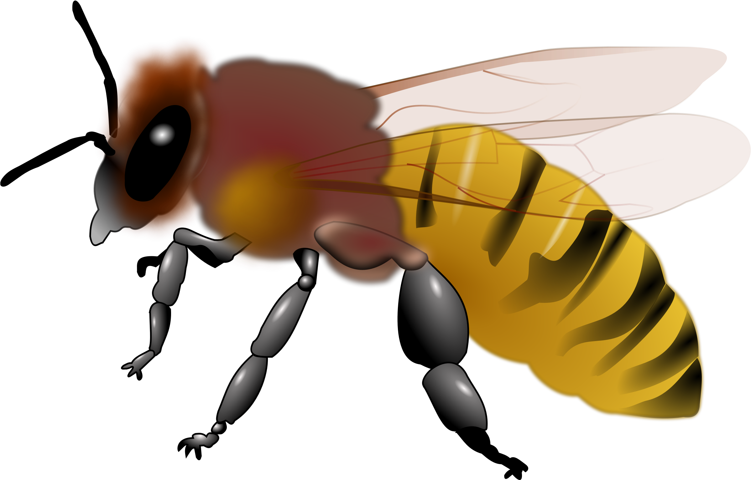 Piano Clip Art Free Bee - Clip Art Honey Bee - Png Download (2400x2400), Png Download