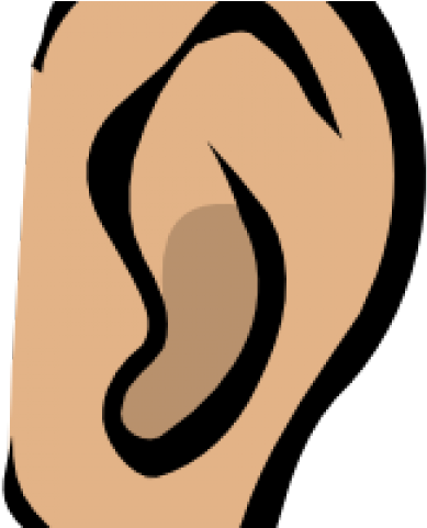 Ear Clipart Listening - Ear Clip Art - Png Download (640x480), Png Download