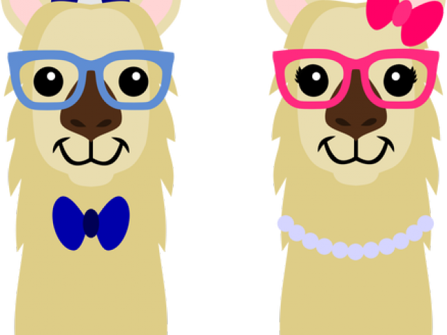 Head Clipart Llama - Cartoon - Png Download (640x480), Png Download