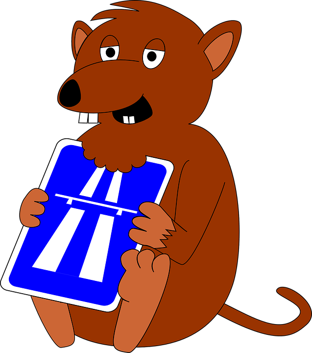 Clipart Info - Png Animal Snare Transparent Png (528x597), Png Download