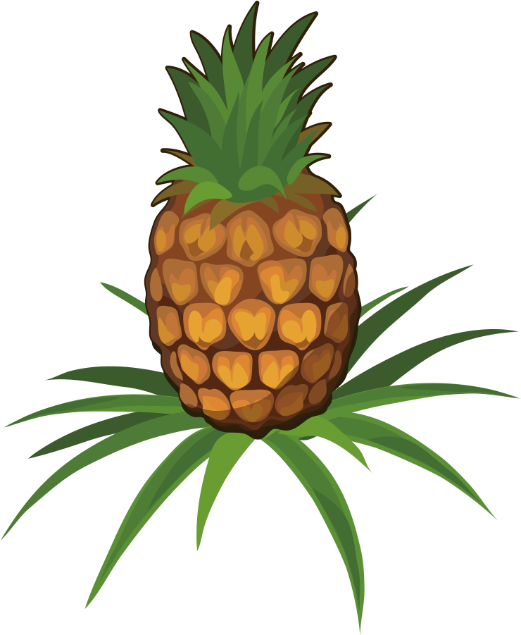 Clipart Pineapple Cartoon - Pineapple Plant Cartoon Png Transparent Png (1000x1000), Png Download