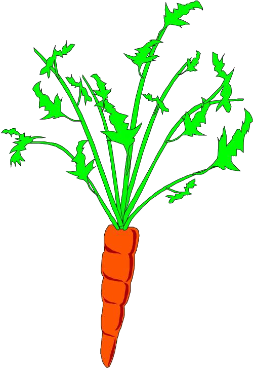Clip Download Carrot Clipart Plant - Carrot Animation - Png Download (837x1037), Png Download