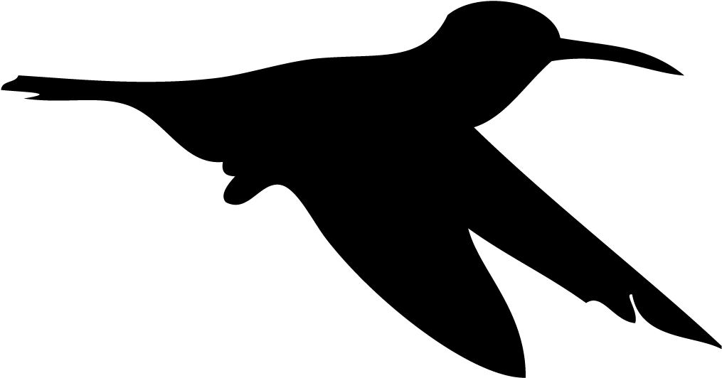 Silhouette Hummingbird - All About Birds Clipart (1024x1024), Png Download