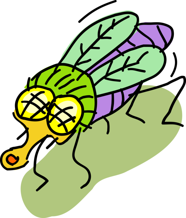 Vector Illustration Of Colorful Housefly Insect Fly Clipart (598x700), Png Download