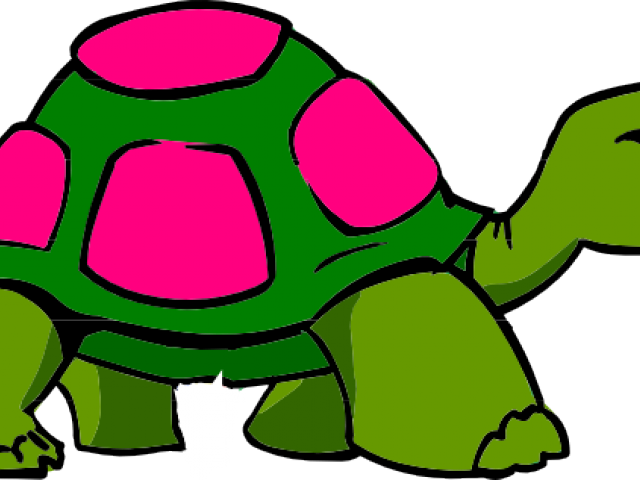 Cool Clipart Tortoise - Tortoise Clipart Transparent Background - Png Download (640x480), Png Download