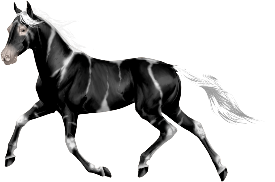 1024 X 698 11 - Stallion Clipart (1024x698), Png Download