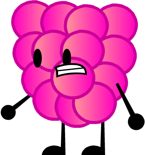 Red Raspberry Clipart (600x623), Png Download