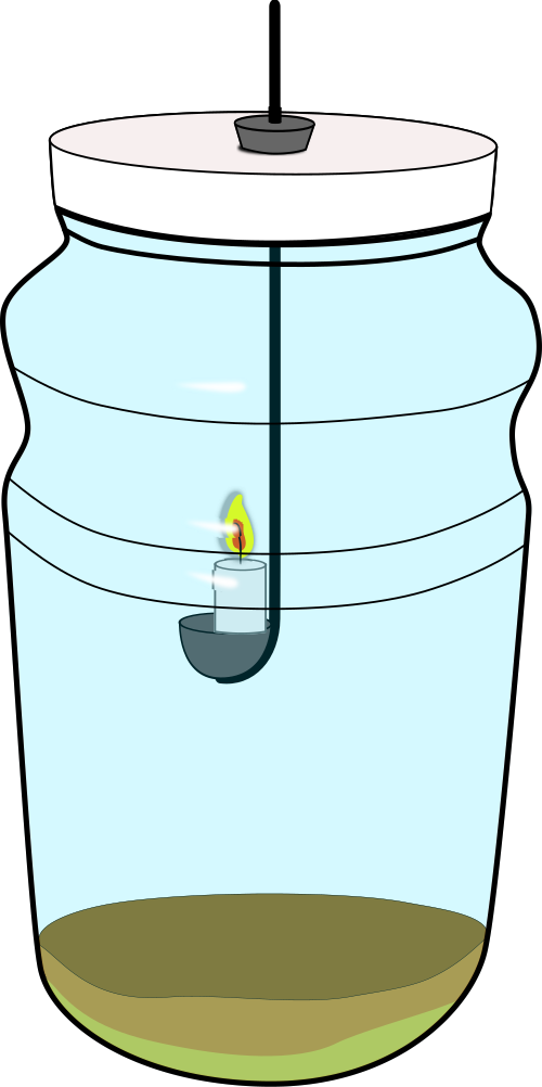 This Image Rendered As Png In Other Widths Clipart (500x1002), Png Download