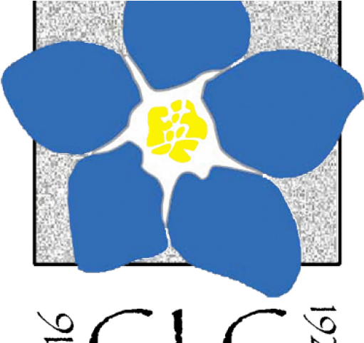 Forget Me Not Clipart Clear Background - Iris - Png Download (640x480), Png Download