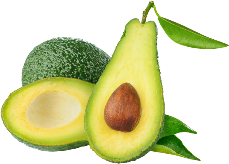 Download Free Png Dlpng - Avocado Png Clipart (800x658), Png Download