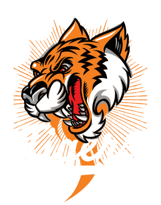 Tigers - Siberian Tiger Clipart (539x669), Png Download