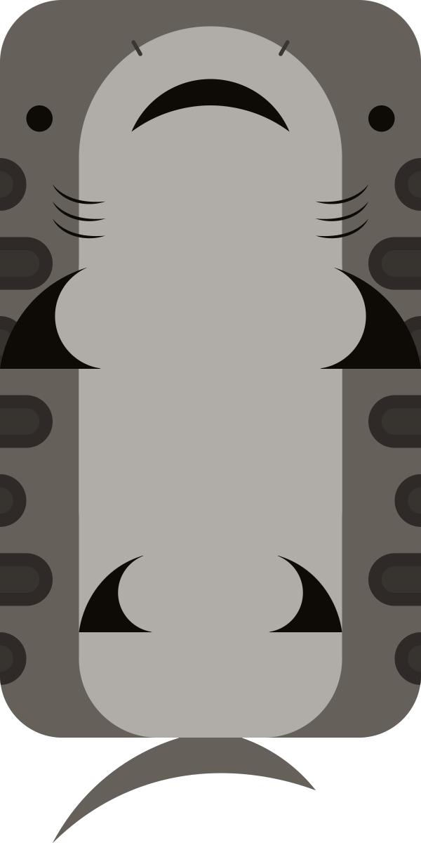 Animal[animal] Leopard Shark Clipart (600x1200), Png Download