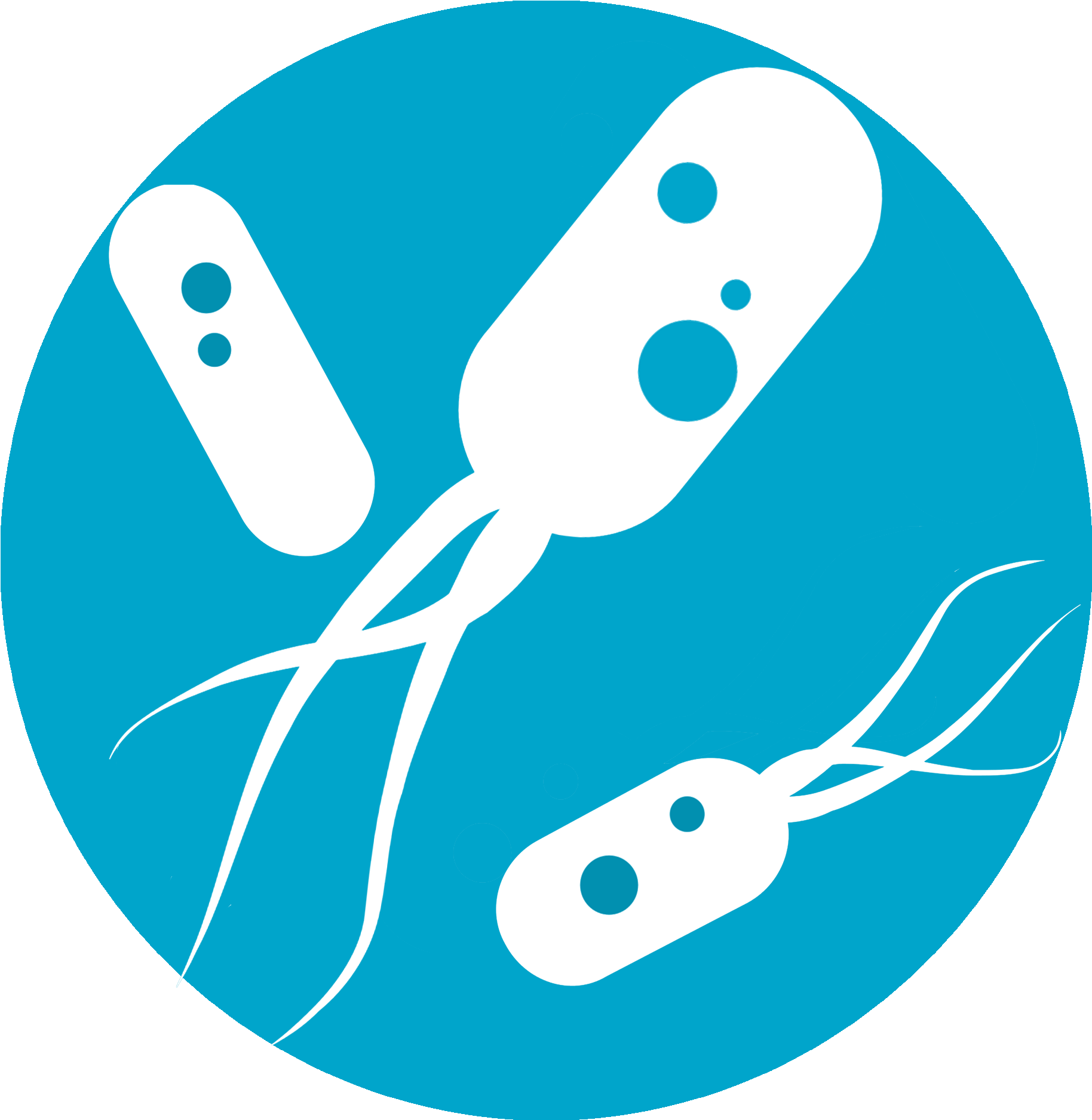 Biological Products For Agriculture - Bactérias Png Clipart (1852x1920), Png Download