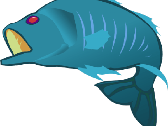 Clownfish Clipart Parrot Fish - Transparent Background Fish Clip Art - Png Download (640x480), Png Download