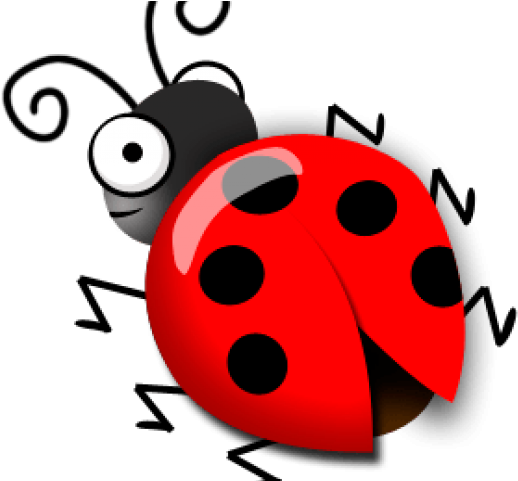 Drawn Ladybug Scientific - Ladybug Clipart (640x480), Png Download