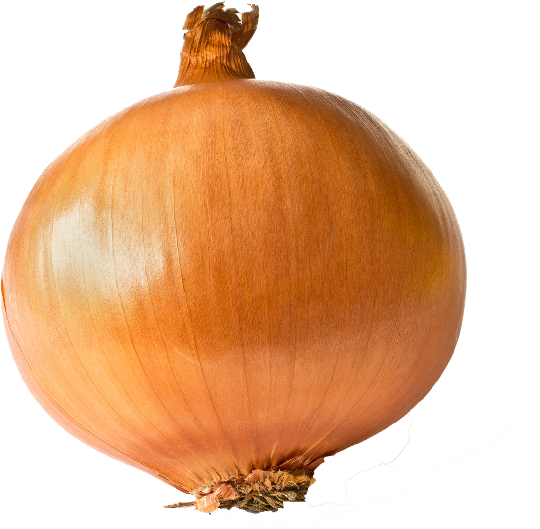 Download Onion Free Transparent Images One Onion Clipart (3211276