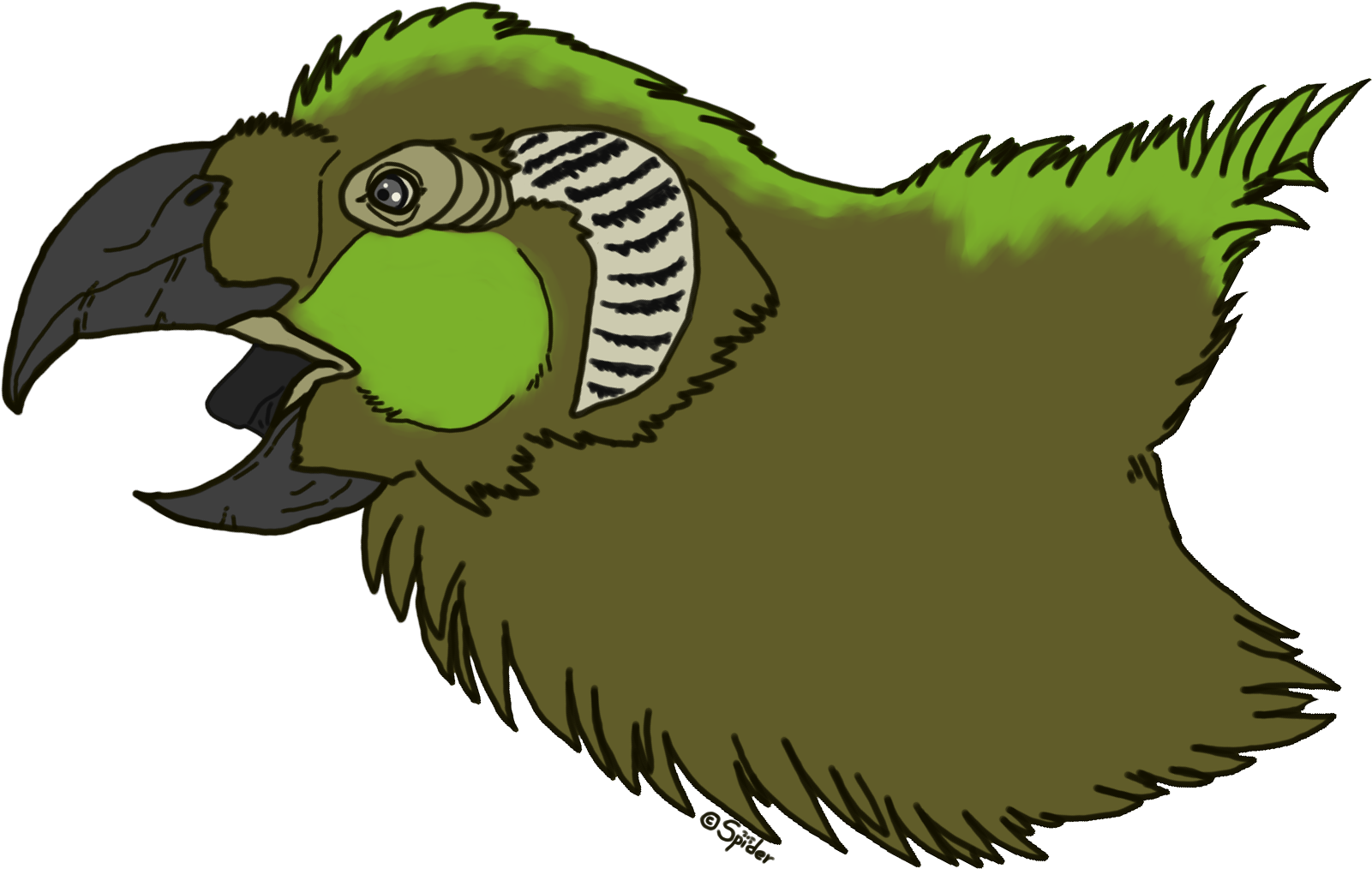 Parrot Griffin Headshot - Parrot Griffin Clipart (1837x1500), Png Download
