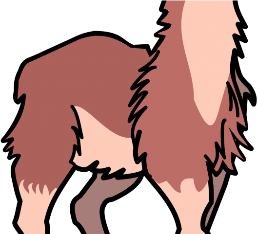 Llama Clipart Real - Clip Art - Png Download (640x480), Png Download