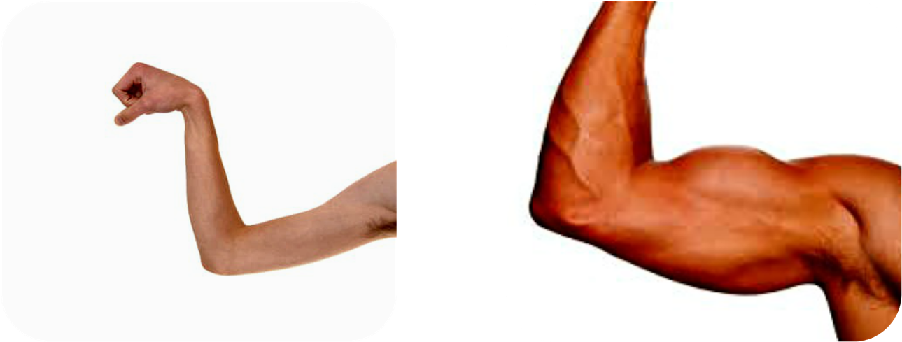 Strong And Weak Png Pluspng - Bodybuilding Clipart (1600x800), Png Download