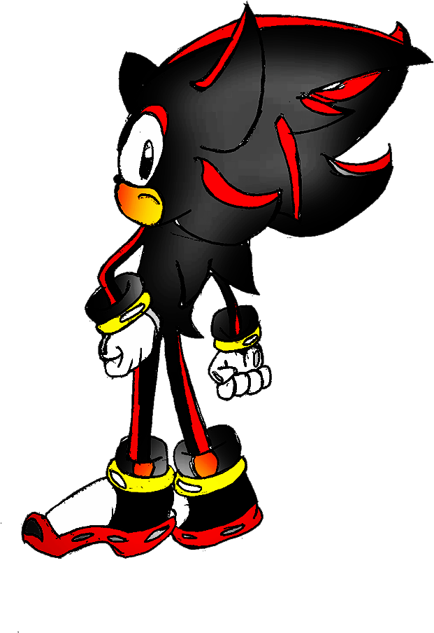 Shadow The Hedgehog - Cartoon Clipart (635x949), Png Download