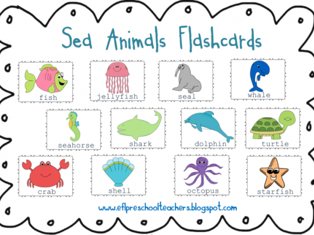 Jellyfish Clipart Sea Animal - Sea Creatures Mind Map - Png Download (640x480), Png Download