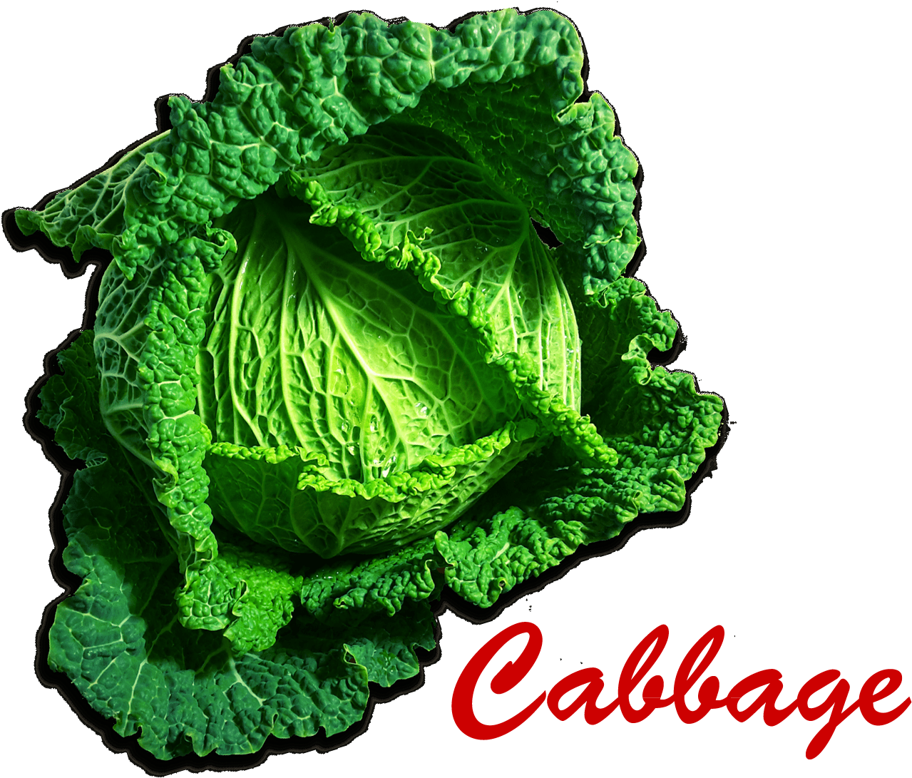 Cabbage Png Picture - Colegio Colbachini Clipart (1920x1200), Png Download