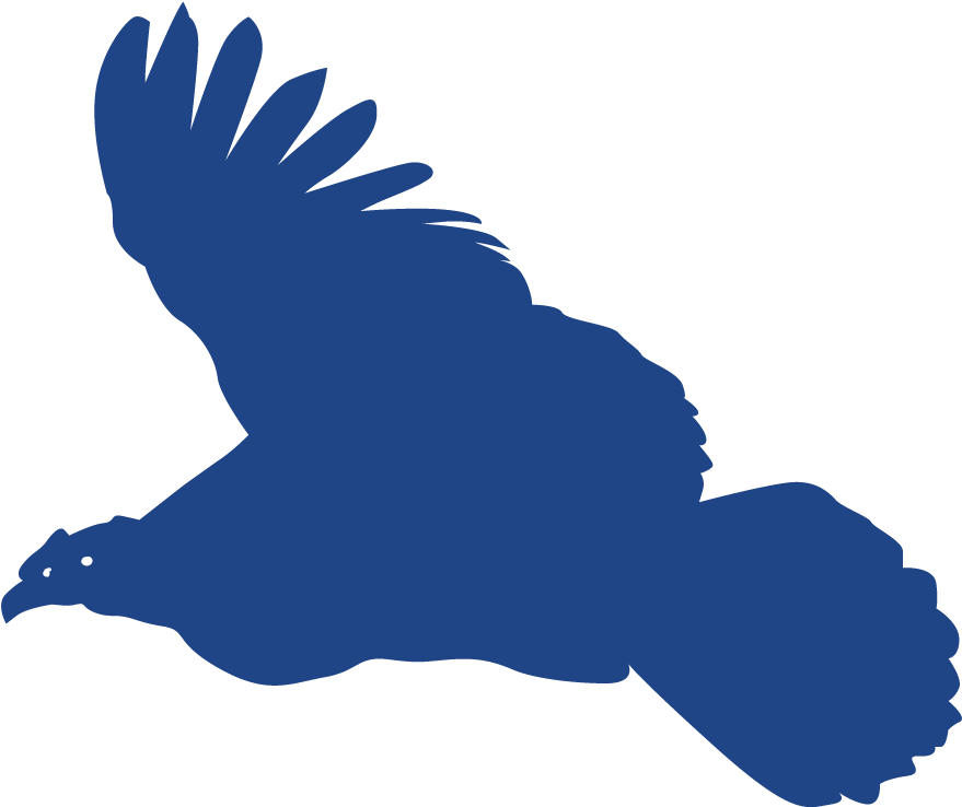 Andean Condor Gold Sponsor - Red Shouldered Hawk Clipart (1200x1200), Png Download