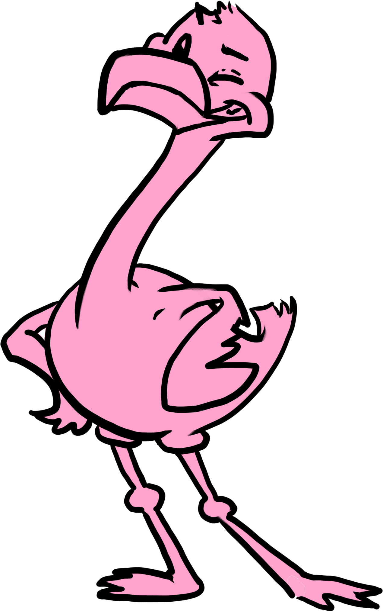 Screwball Flamingo Clipart (1270x2023), Png Download