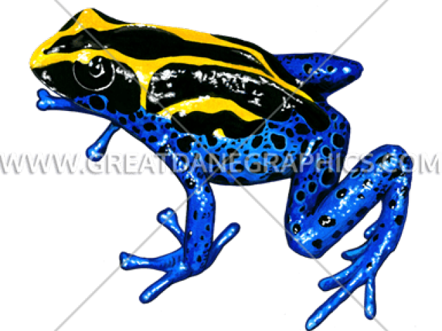 Poison Dart Frog Clipart Dot - Yellow And Blue Frog - Png Download (640x480), Png Download