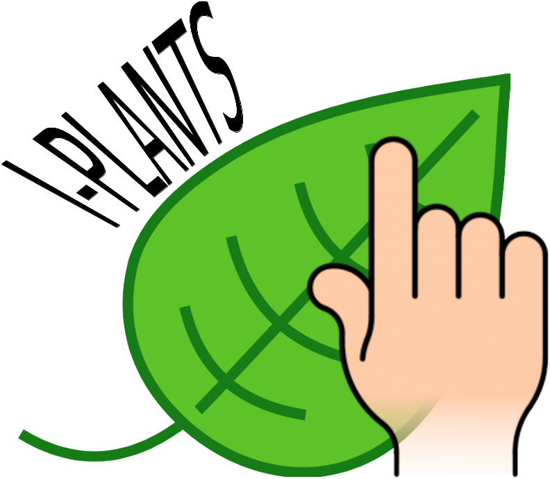 Logo - Simple Green Leaf Drawing Clipart (795x702), Png Download