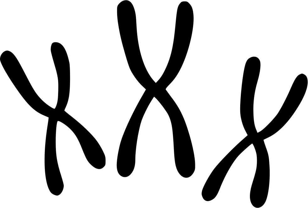 Chromosomes Comments - Chromosomes Icon Clipart (981x664), Png Download