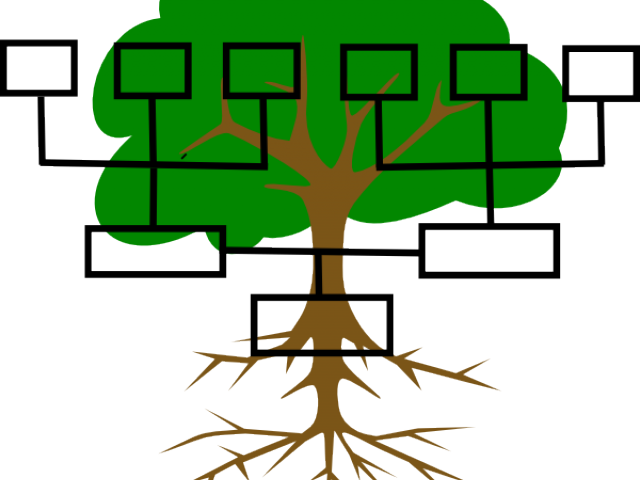 Family Line Cliparts - Blank Family Tree Clipart - Png Download (640x480), Png Download
